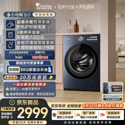小天鹅 小乌梅5.0京选轻享版 滚筒10KG 纯平全嵌水魔方 TG10EK30  京东自营