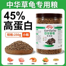 奈宠 中华草龟龟粮饲料墨龟专用粮大颗粒乌龟半水龟粮通用中大龟高蛋白