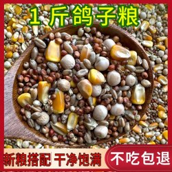 鸽粮食鸟饲料包邮幼鸽信鸽赛鸽种鸽观赏肉鸽专通用批发玉米粒谷子