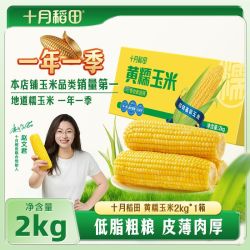 十月稻田 黄糯2kg真空锁鲜低脂粗粮早餐零食东北黏玉米4斤