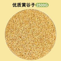 冠之亚 玄凤鹦鹉虎皮鹦鹉黄谷子鹦鹉主粮金刚鹦鹉麻雀珍珠鸟鸟粮食罐装