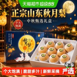 寻天果蔬 山东秋月梨 新鲜水果