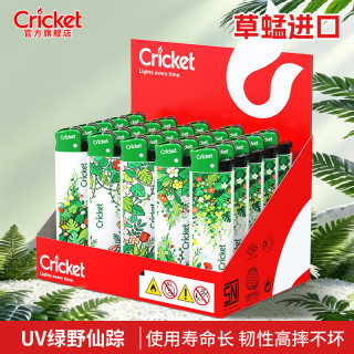 草蜢 进口一次性砂轮打火机 UV绿野仙踪 5支