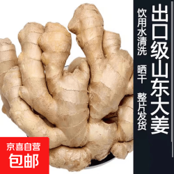 京喜 山东潍坊大片老姜新鲜现挖生姜 水洗 风干无土 黄姜烘干大姜3两起 山东大片姜带箱4斤 净重1900g