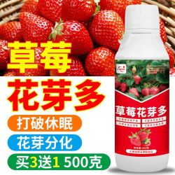 正源禧牧 草莓专用肥草莓花芽分化剂营养液增甜增色快速膨大促花芽分化正品