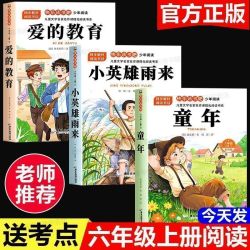童年六年级上册必读课外书人教版快乐读书吧小英雄雨来爱的教育