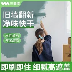 三青 漆水性乳胶漆室内家用自刷墙面漆内墙漆修复翻新刷白油漆涂料