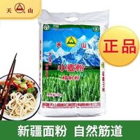 天山 中筋面粉