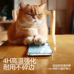 闪魔 oppok13turbo钢化膜 turbo pro手机膜高清抗指纹防爆防摔手机屏幕保护贴膜