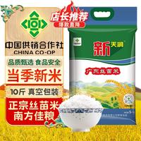 新天润 广东丝苗米 5kg 十斤 南方籼米 大米 新供销天润 煲仔饭米 广东丝苗米 5kg