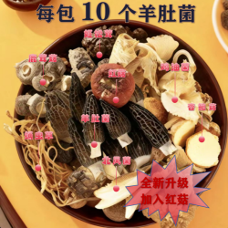 八珍汤包菌菇汤包炖鸡汤料包干货煲汤类羊肚菌红菇姬松茸食材