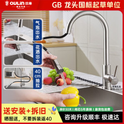 欧琳 CFL108 抽拉式冷热厨房水龙头 冰霜银