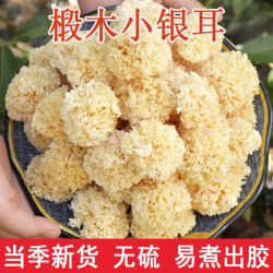 小朵银耳干货 软糯无硫小雪耳新货白木耳100g易出胶 非丑耳莲子羹