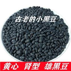 2025年新山西五台山下农家种植肾形黄芯小黑豆打豆浆醋泡黑豆450g