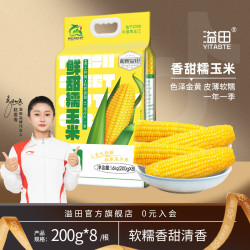 溢田 东北鲜黏糯玉米200g*8支黄糯玉米棒粗粮主食新鲜采摘