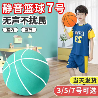 武行彬 静音篮球儿童无声拍拍球7号室内投篮训练5号小皮球玩具亲子互动