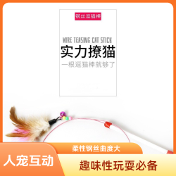 宠三馫 布偶蓝白英短美短缅因起司猫田园猫流浪猫弯曲逗猫棒羽毛钢丝加长