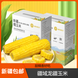 新疆直发疆域龙疆金谷黄糯玉米8根/箱甜糯好吃早餐优选粗粮健康