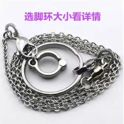 鹦鹉脚链鸟链子活扣脚环八哥鸟喜鹊脚环超轻不伤脚站架外出