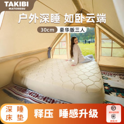 塔吉比 充气床垫TPU30拉丝自动气垫床午休打地铺户外露营弹丝垫防潮垫 三人+无刷泵+零压床笠