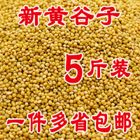 鹦鹉粮黄谷子/鸟粮鸟食/有壳谷子文鸟虎皮玄凤牡丹横班5斤包邮