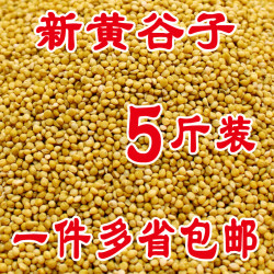 鹦鹉粮黄谷子/鸟粮鸟食/有壳谷子文鸟虎皮玄凤牡丹横班5斤包邮