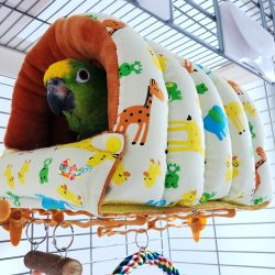 鹦鹉玄风仓鼠加厚保暖鸟屋保温鸟窝过冬窝鸟吊床繁殖箱可拆开水洗
