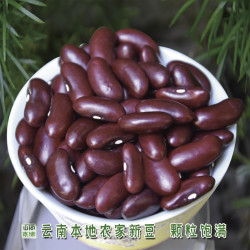 云南红豆老品种散装农家种植手工严选颗粒饱满新鲜熬粥红豆杂粮