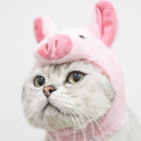 宠物帽猫狗头套可爱毛绒帽子针织小猪猪头套帽子拍摄卖萌道具头套