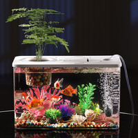 非凡家品 鱼缸PC塑料透明家用饲养缸超窄带盖幼儿园儿童养鱼亚克力小型