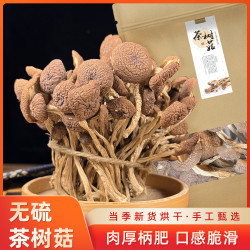 无硫茶树菇干货250g开伞云南炖汤新鲜茶薪菇干货食用菌长白山香菇