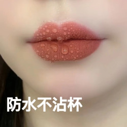 溥畔 奶茶肉桂奶茶色口红吃饭不掉色不沾杯持久防水滋润保湿自然唇釉女