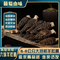 当季头茬六妹 6～8公分大个肉厚羊肚菌煲汤鲜酿肉酿虾滑 送人送礼