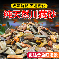 原生鱼缸造景底砂溪流沙水草龟缸雷龙鱼草南美缸装饰铺底沙河沙石
