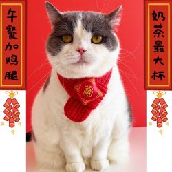 2024新年春节冬季装扮可爱喜庆韩版红色保暖毛线针织狗狗小猫围巾