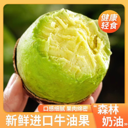 鲜级佳 秘鲁进口牛油果鳄梨新鲜水果微催熟爽滑细腻宝宝辅食单果水果当季 冰淇淋般口感 101-140g 4个装