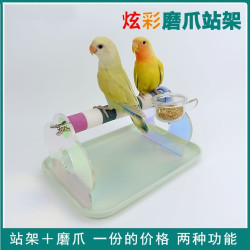 炫彩鹦鹉磨爪站架亚克力玄凤牡丹虎皮站杆训练鸟台式架桌面站台杆