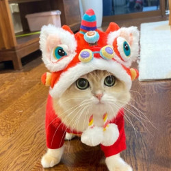 宠物新年虎头帽子秋冬季保暖狗狗猫咪搞怪变身头套头饰用品衣服