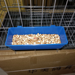 鸽子竖挂钩喂食盒，鸽具。拍一发5个
