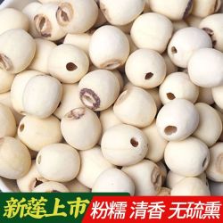 荷忆 正宗湖南新货去芯白莲500g干货粉糯易煮通芯煲汤颗粒香甜饱满新鲜