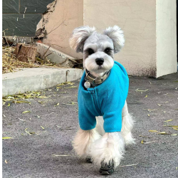 BORORO小狗狗衣服秋装可牵引雪纳瑞比熊小型犬宠物秋季冬款保暖衣