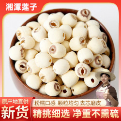 荷忆 湖南湘莲白莲子 新货农家非手工白莲磨皮粉糯煲汤
