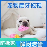狗狗耐咬玩具磨牙训练拖鞋防拆家结实鞋子自嗨解闷小型犬泰迪宠物