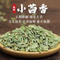 广西高品质小茴香食用调味料农产品香料调料增香卤料天然无硫甄选