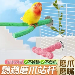 鹦鹉鸟用站杆字母Y型T型树脂磨爪棒磨嘴磨牙棒站棍