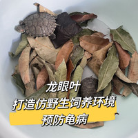 龙眼叶净水养乌龟造景水族乌龟宠物叶子调节改善水质免煮
