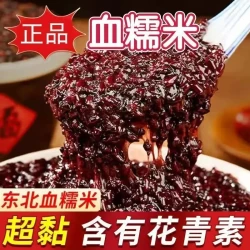 新磨正宗东北糯新米黑糯米紫糯米非染色五谷杂粮