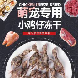 翡翠猫 健康宠物零食冻干小鸡仔猫狗零食香酥小鸡营养美味爱吃蛋白