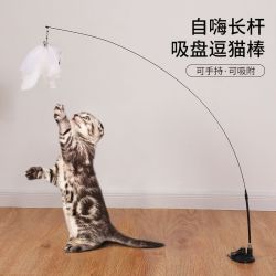 吸盘逗猫棒带铃铛长杆羽毛逗猫玩具耐咬耐用逗猫神器幼猫自嗨解闷