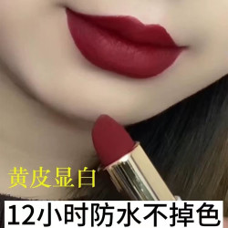 溥畔 气场姨妈色口红显白正品不掉色不沾杯不脱色胡萝卜色防水正品减龄